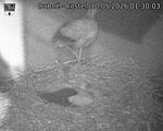 Capi_Dubne_20260510_013003.jpg