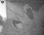 Capi_Dubne_20260510_013502.jpg