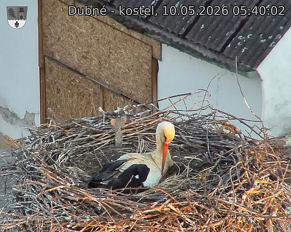 preload