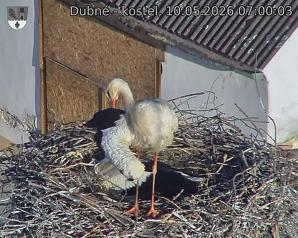 preload