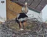Capi_Dubne_20260510_084003.jpg