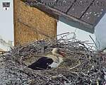 Capi_Dubne_20260510_103002.jpg