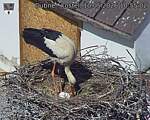 Capi_Dubne_20260510_105502.jpg