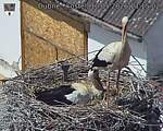 Capi_Dubne_20260510_131502.jpg