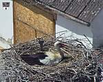 Capi_Dubne_20260510_132502.jpg