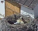 Capi_Dubne_20260510_134502.jpg