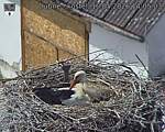 Capi_Dubne_20260510_140503.jpg