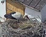Capi_Dubne_20260510_141003.jpg