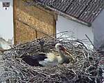 Capi_Dubne_20260510_142503.jpg