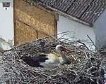 Capi_Dubne_20260510_143003.jpg
