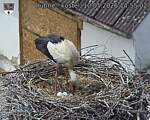 Capi_Dubne_20260510_145502.jpg