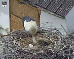 Capi_Dubne_20260510_151504.jpg