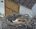 Capi_Dubne_20260510_152002.jpg