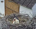 Capi_Dubne_20260510_153003.jpg