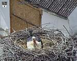Capi_Dubne_20260510_155003.jpg