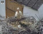 Capi_Dubne_20260510_160002.jpg
