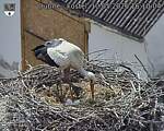 Capi_Dubne_20260510_161004.jpg