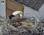 Capi_Dubne_20260510_161503.jpg