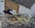 Capi_Dubne_20260510_162003.jpg