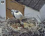 Capi_Dubne_20260510_162502.jpg