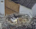 Capi_Dubne_20260510_163503.jpg