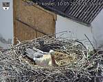 Capi_Dubne_20260510_165504.jpg