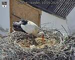 Capi_Dubne_20260510_170002.jpg