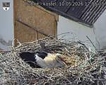 Capi_Dubne_20260510_170503.jpg