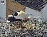 Capi_Dubne_20260510_171002.jpg