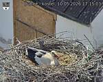 Capi_Dubne_20260510_171503.jpg
