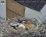 Capi_Dubne_20260510_172003.jpg