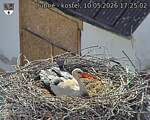 Capi_Dubne_20260510_172502.jpg