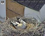 Capi_Dubne_20260510_173003.jpg