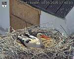 Capi_Dubne_20260510_174003.jpg