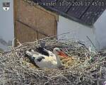 Capi_Dubne_20260510_174503.jpg