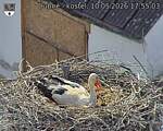 Capi_Dubne_20260510_175503.jpg