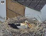 Capi_Dubne_20260510_180002.jpg