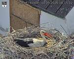 Capi_Dubne_20260510_181502.jpg