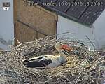 Capi_Dubne_20260510_182502.jpg