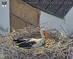 Capi_Dubne_20260510_183004.jpg