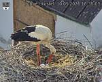 Capi_Dubne_20260510_183503.jpg
