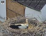 Capi_Dubne_20260510_185003.jpg