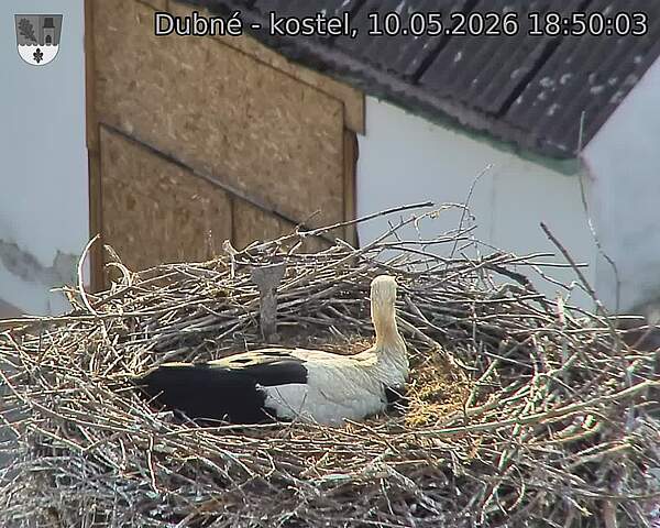 preload