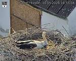 Capi_Dubne_20260510_185504.jpg