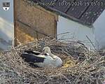 Capi_Dubne_20260510_190503.jpg
