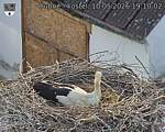 Capi_Dubne_20260510_191002.jpg
