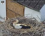 Capi_Dubne_20260510_192002.jpg