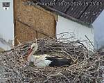 Capi_Dubne_20260510_192503.jpg