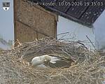 Capi_Dubne_20260510_193503.jpg