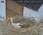 Capi_Dubne_20260510_194003.jpg